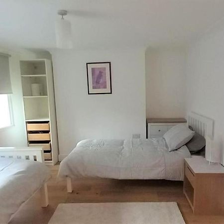 2 Bedroom Victorian Garden Flat London Ngoại thất bức ảnh