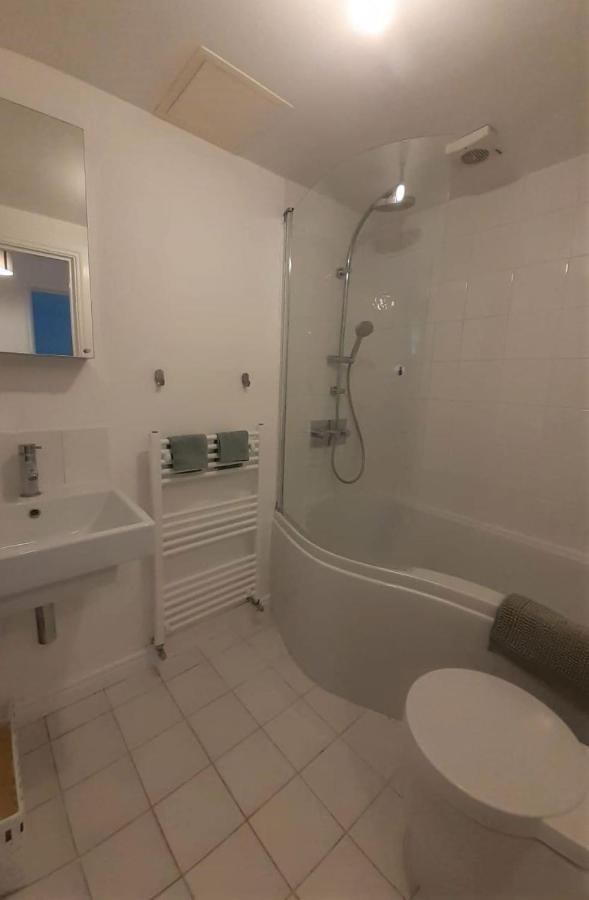 2 Bedroom Victorian Garden Flat London Ngoại thất bức ảnh