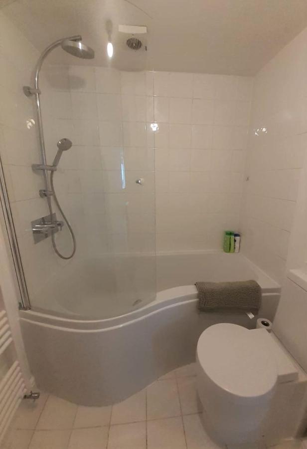 2 Bedroom Victorian Garden Flat London Ngoại thất bức ảnh